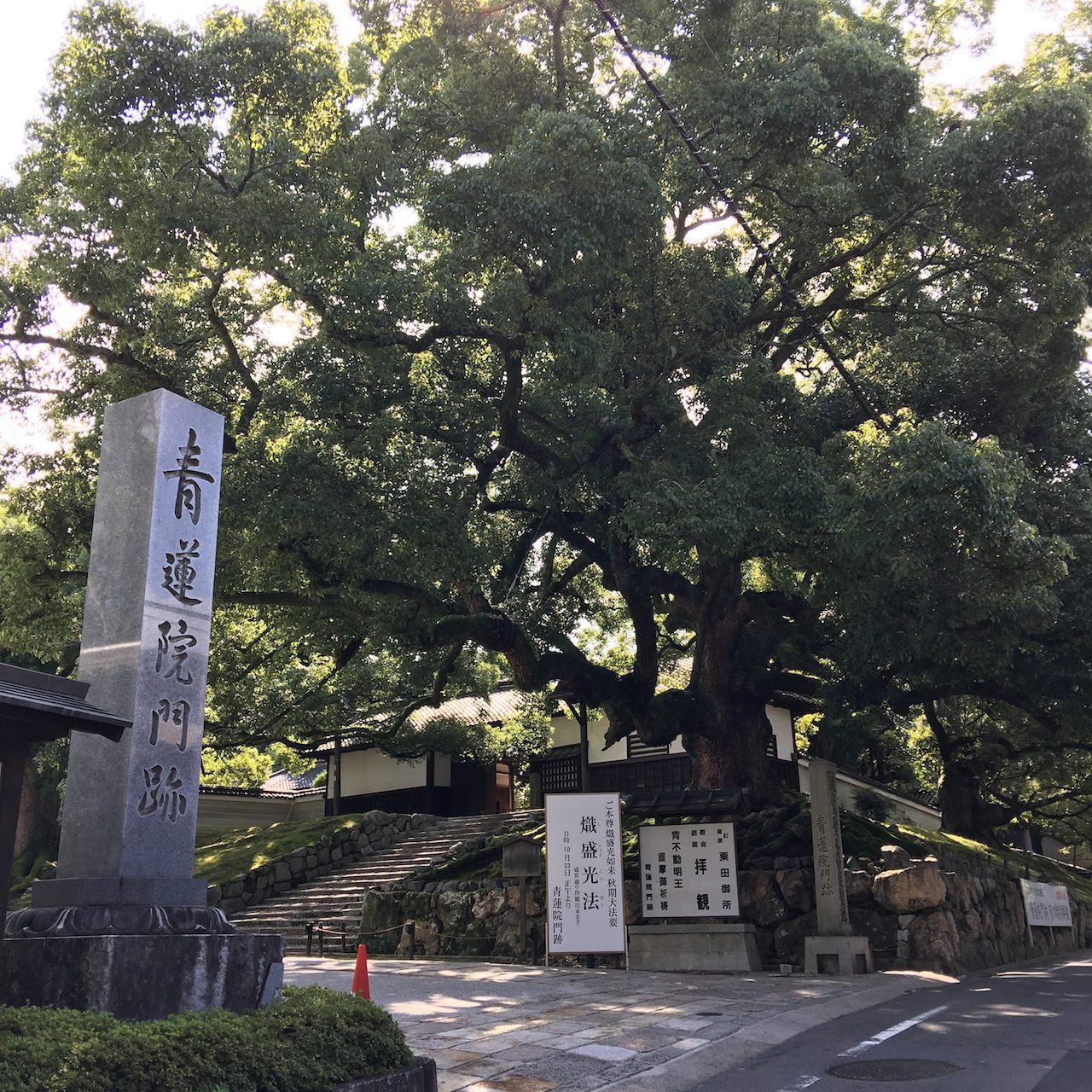 青蓮院